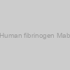 Human fibrinogen Mab